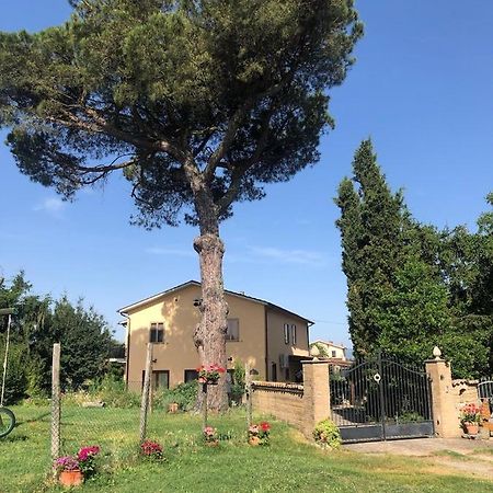 Podere Telesforo 阿夸彭登泰 外观 照片