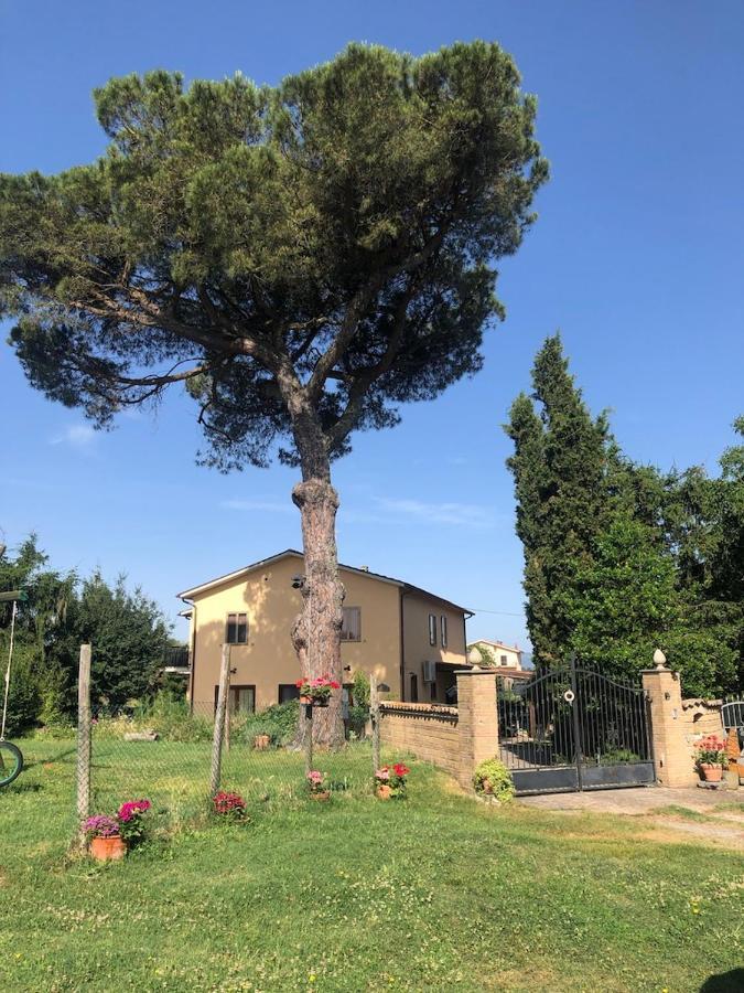 Podere Telesforo 阿夸彭登泰 外观 照片